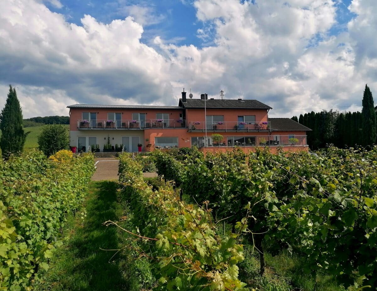 Außenansicht Weingut Tiliahof an der Mittelmosel